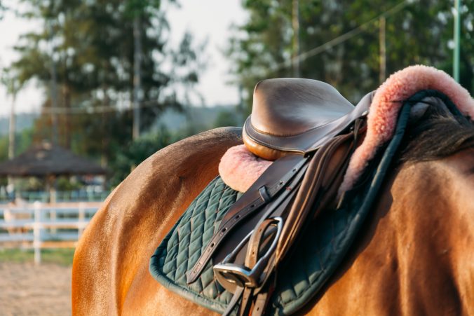 Grasa de Caballo: Esencial para el Cuero en Paraguay