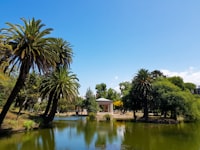 montevideo.jpg