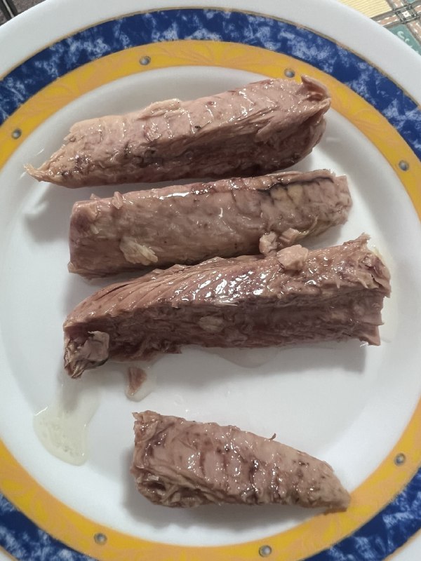Cuatro lomos de melva conservado en aceite servidos en un plato blanco con borde azul y amarillo
