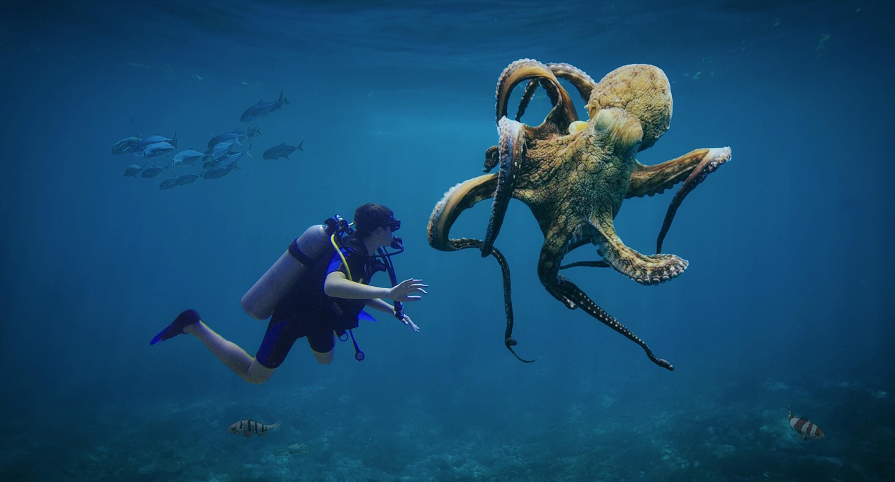 Pulpo: biología, curiosidades y cómo llegó a la alta cocina